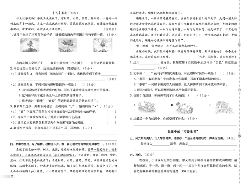 26春典中点三年级语文下（R版）Y专版测试卷_2026春小学教辅大合集_6-26春《典中点》系列_26春《典中点》语文人教版（完整版）_26春三年级下册语文《典中点》