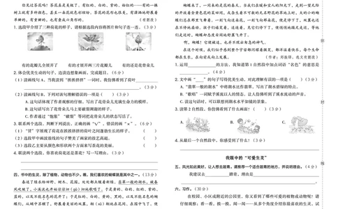 26春典中点三年级语文下（R版）Y专版测试卷_2026春小学教辅大合集_6-26春《典中点》系列_26春《典中点》语文人教版（完整版）_26春三年级下册语文《典中点》
