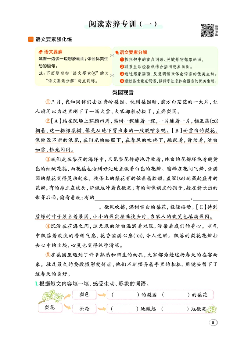 26春典中点三年级语文下（R版）Y专版_2026春小学教辅大合集_6-26春《典中点》系列_26春《典中点》语文人教版（完整版）_26春三年级下册语文《典中点》