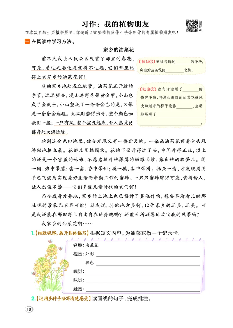 26春典中点三年级语文下（R版）Y专版_2026春小学教辅大合集_6-26春《典中点》系列_26春《典中点》语文人教版（完整版）_26春三年级下册语文《典中点》
