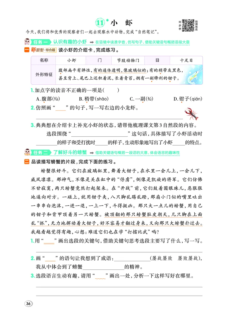 26春典中点三年级语文下（R版）Y专版_2026春小学教辅大合集_6-26春《典中点》系列_26春《典中点》语文人教版（完整版）_26春三年级下册语文《典中点》
