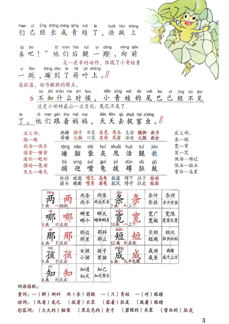 2年级上册（新教材版）2025秋_小学《课堂笔记》数学语文英语1-6年级下册_小学语文《课堂笔记》1-6年级下册（26春）_小学语文《课堂笔记》1-6年级上册（25秋）_2年级上册（25秋更新）