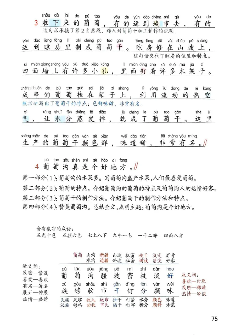 2年级上册（新教材版）2025秋_小学《课堂笔记》数学语文英语1-6年级下册_小学语文《课堂笔记》1-6年级下册（26春）_小学语文《课堂笔记》1-6年级上册（25秋）_2年级上册（25秋更新）