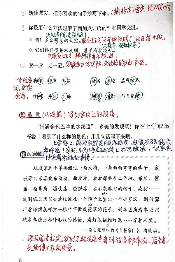 3年级上册（新教材版）_小学《课堂笔记》数学语文英语1-6年级下册_小学语文《课堂笔记》1-6年级下册（26春）_小学语文《课堂笔记》1-6年级上册（25秋）_3年级上册（25秋更新）