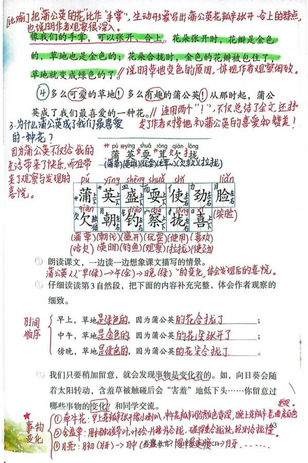 3年级上册（新教材版）_小学《课堂笔记》数学语文英语1-6年级下册_小学语文《课堂笔记》1-6年级下册（26春）_小学语文《课堂笔记》1-6年级上册（25秋）_3年级上册（25秋更新）