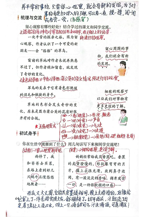 3年级上册（新教材版）_小学《课堂笔记》数学语文英语1-6年级下册_小学语文《课堂笔记》1-6年级下册（26春）_小学语文《课堂笔记》1-6年级上册（25秋）_3年级上册（25秋更新）
