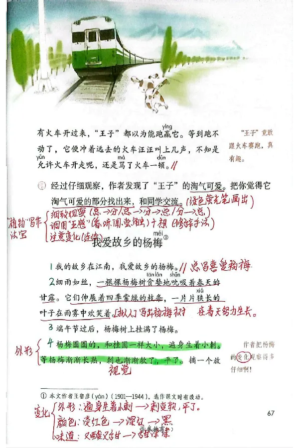 3年级上册（新教材版）_小学《课堂笔记》数学语文英语1-6年级下册_小学语文《课堂笔记》1-6年级下册（26春）_小学语文《课堂笔记》1-6年级上册（25秋）_3年级上册（25秋更新）