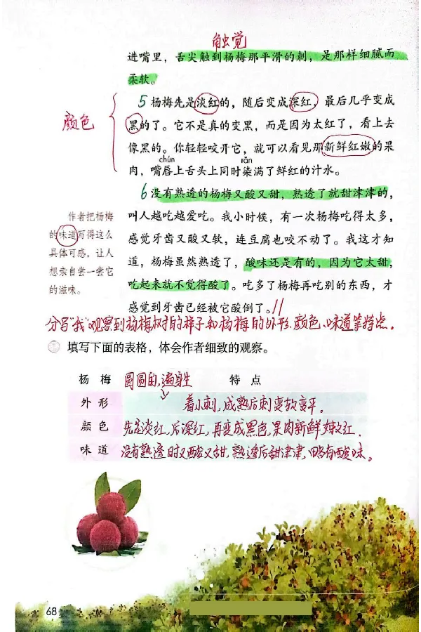 3年级上册（新教材版）_小学《课堂笔记》数学语文英语1-6年级下册_小学语文《课堂笔记》1-6年级下册（26春）_小学语文《课堂笔记》1-6年级上册（25秋）_3年级上册（25秋更新）