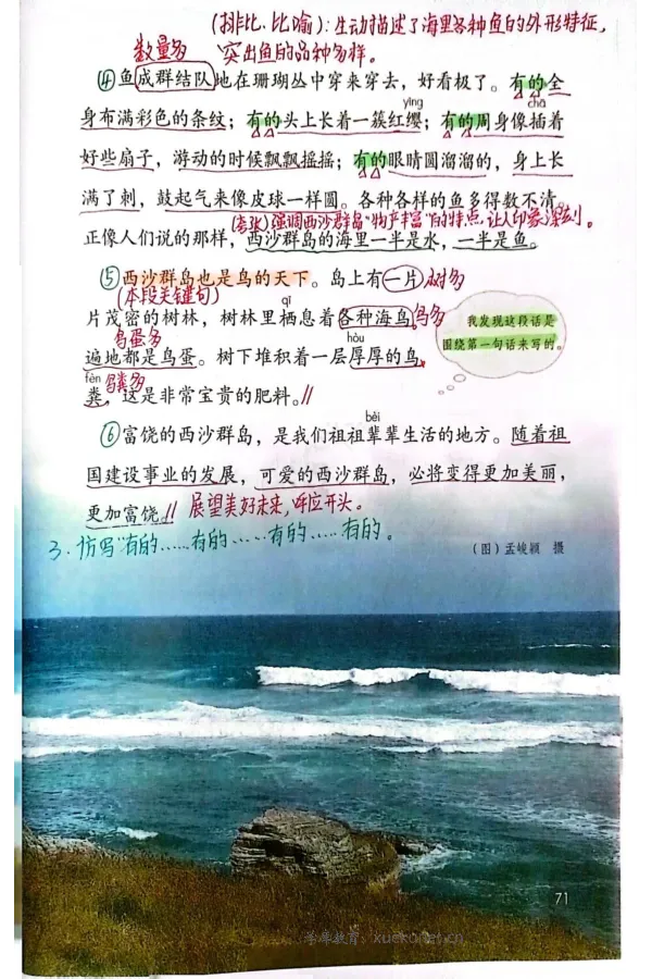 3年级上册（新教材版）_小学《课堂笔记》数学语文英语1-6年级下册_小学语文《课堂笔记》1-6年级下册（26春）_小学语文《课堂笔记》1-6年级上册（25秋）_3年级上册（25秋更新）