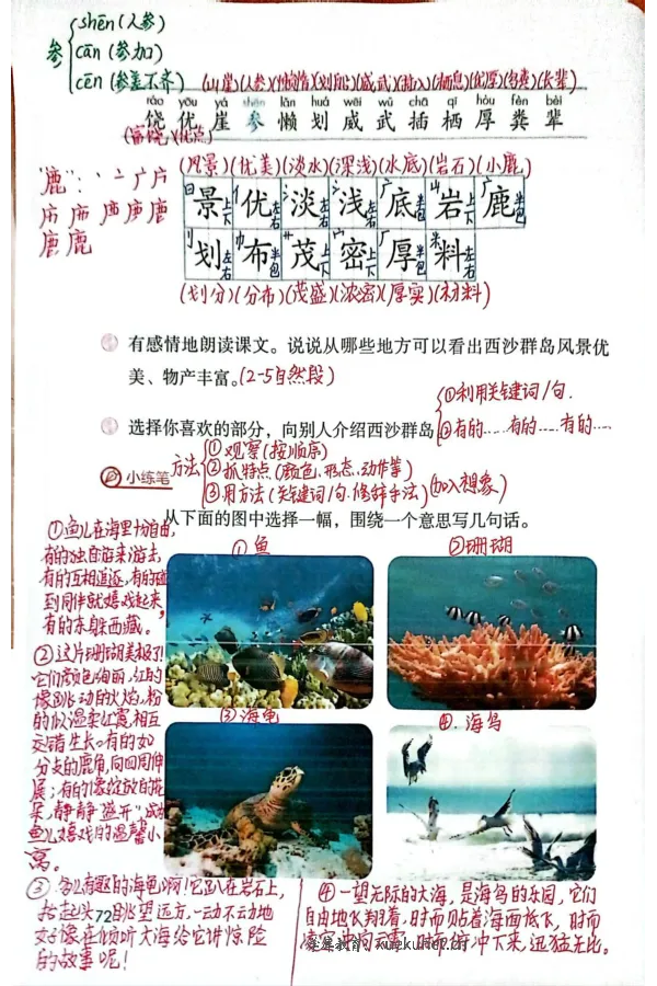 3年级上册（新教材版）_小学《课堂笔记》数学语文英语1-6年级下册_小学语文《课堂笔记》1-6年级下册（26春）_小学语文《课堂笔记》1-6年级上册（25秋）_3年级上册（25秋更新）