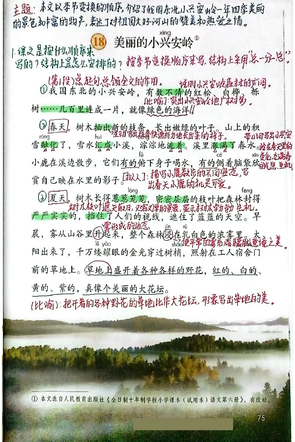 3年级上册（新教材版）_小学《课堂笔记》数学语文英语1-6年级下册_小学语文《课堂笔记》1-6年级下册（26春）_小学语文《课堂笔记》1-6年级上册（25秋）_3年级上册（25秋更新）