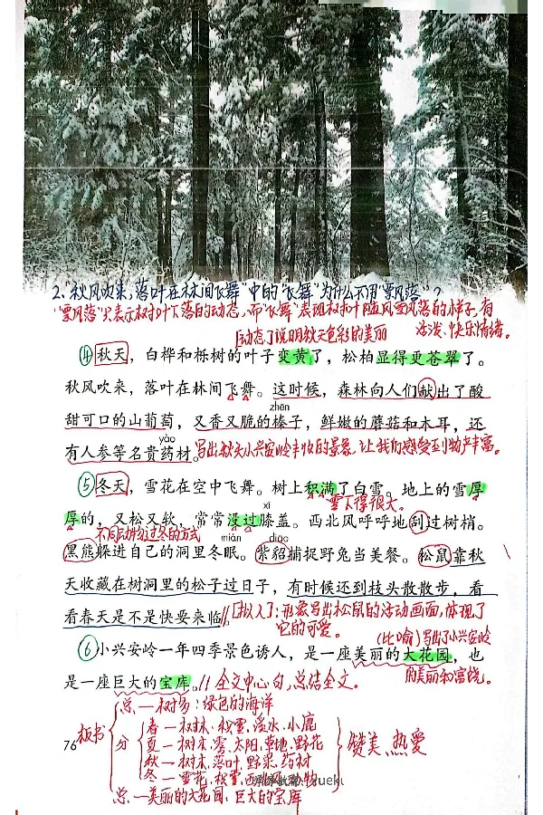 3年级上册（新教材版）_小学《课堂笔记》数学语文英语1-6年级下册_小学语文《课堂笔记》1-6年级下册（26春）_小学语文《课堂笔记》1-6年级上册（25秋）_3年级上册（25秋更新）