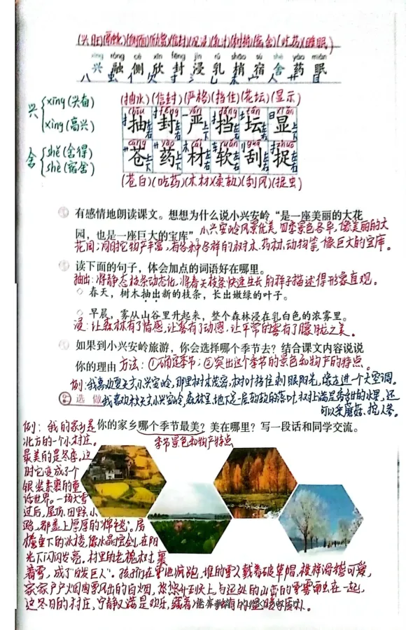 3年级上册（新教材版）_小学《课堂笔记》数学语文英语1-6年级下册_小学语文《课堂笔记》1-6年级下册（26春）_小学语文《课堂笔记》1-6年级上册（25秋）_3年级上册（25秋更新）