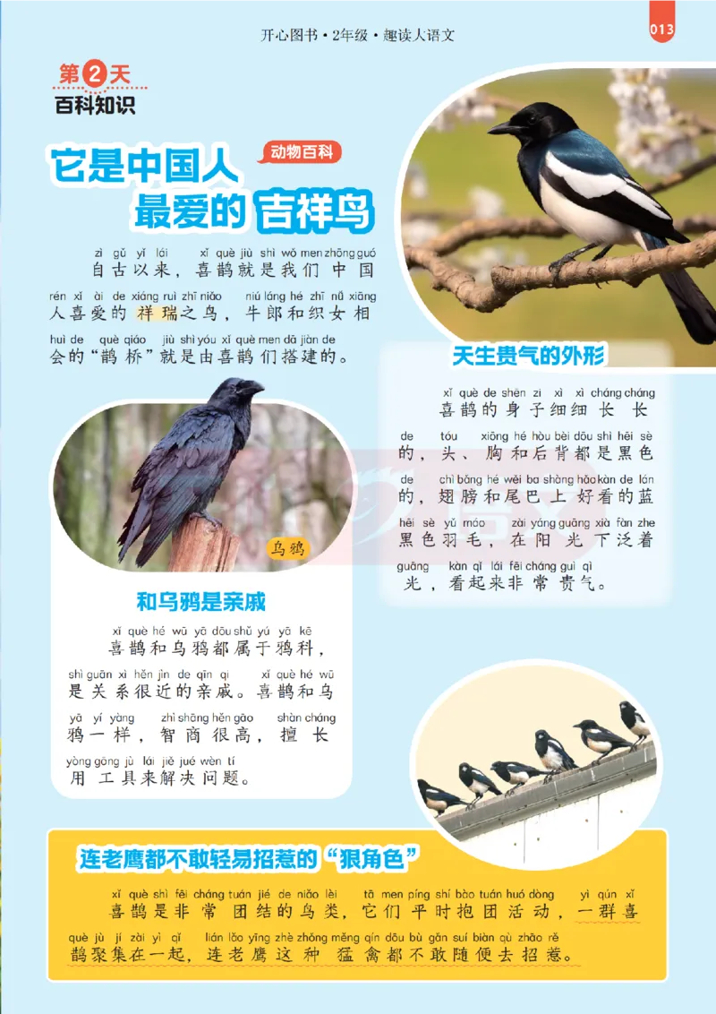2下趣读大语文-围绕课本做拓展的杂志_2026春小学教辅大合集_13-26春《开心》系列_《趣读》杂志系列_《趣读大语文》