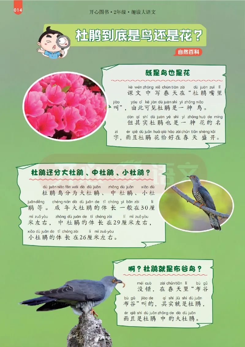 2下趣读大语文-围绕课本做拓展的杂志_2026春小学教辅大合集_13-26春《开心》系列_《趣读》杂志系列_《趣读大语文》