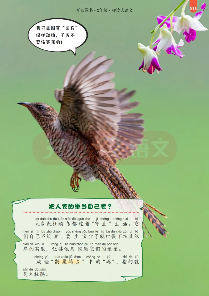 2下趣读大语文-围绕课本做拓展的杂志_2026春小学教辅大合集_13-26春《开心》系列_《趣读》杂志系列_《趣读大语文》