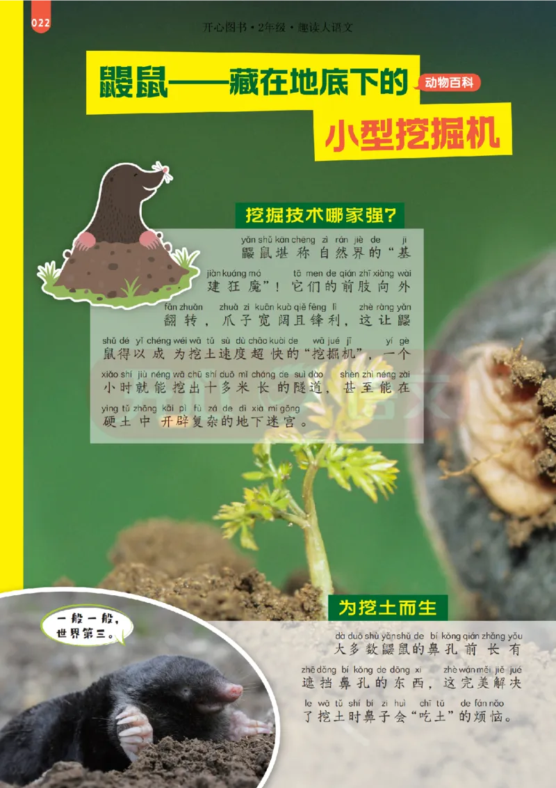 2下趣读大语文-围绕课本做拓展的杂志_2026春小学教辅大合集_13-26春《开心》系列_《趣读》杂志系列_《趣读大语文》