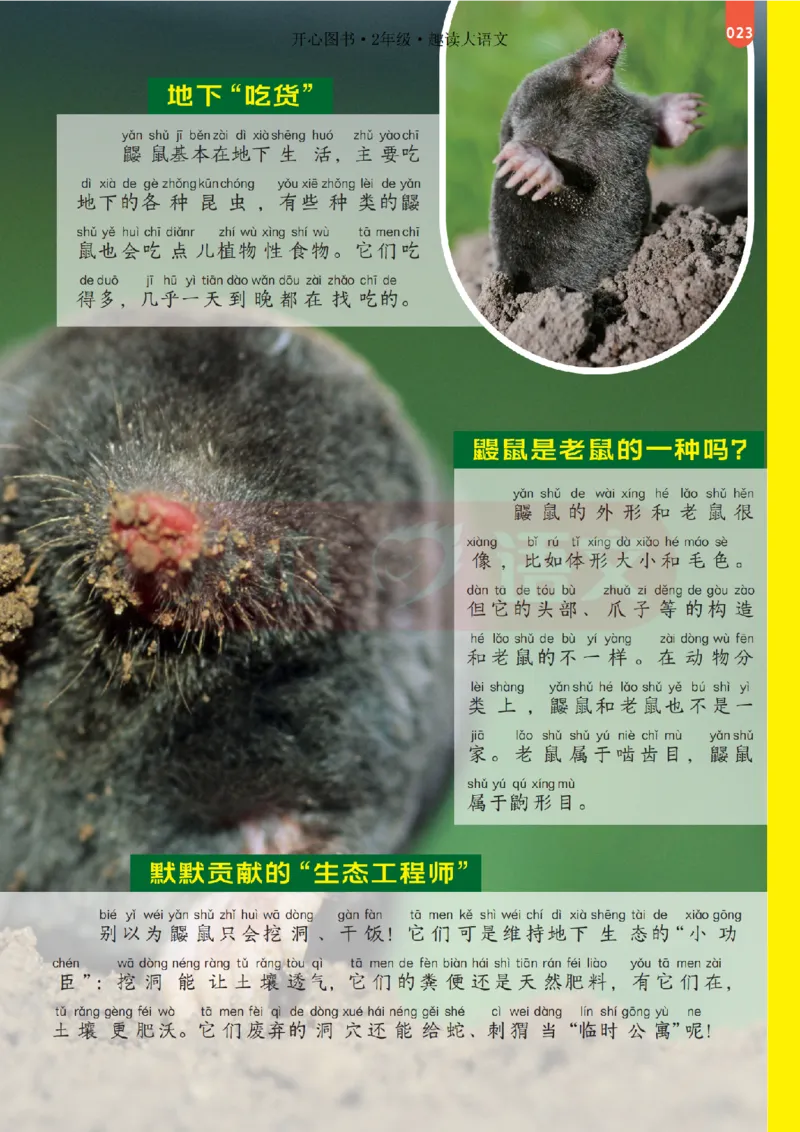 2下趣读大语文-围绕课本做拓展的杂志_2026春小学教辅大合集_13-26春《开心》系列_《趣读》杂志系列_《趣读大语文》