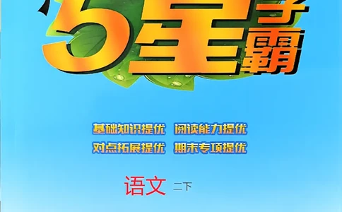 26春二下五星学霸语文_2026春小学教辅大合集_9-26春《经纶学霸》系列_26春《五星学霸》语数英系列_26春《五星学霸》语文1-6年级下册_26春《五星学霸》语文2下
