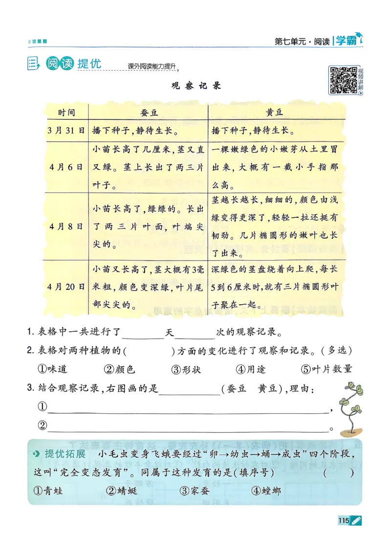 26春二下五星学霸语文_2026春小学教辅大合集_9-26春《经纶学霸》系列_26春《五星学霸》语数英系列_26春《五星学霸》语文1-6年级下册_26春《五星学霸》语文2下