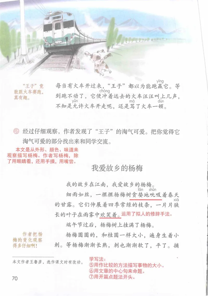 3年级上册（旧教材版）_小学《课堂笔记》数学语文英语1-6年级下册_小学语文《课堂笔记》1-6年级下册（26春）_小学语文《课堂笔记》1-6年级上册（25秋）_3年级上册（25秋更新）