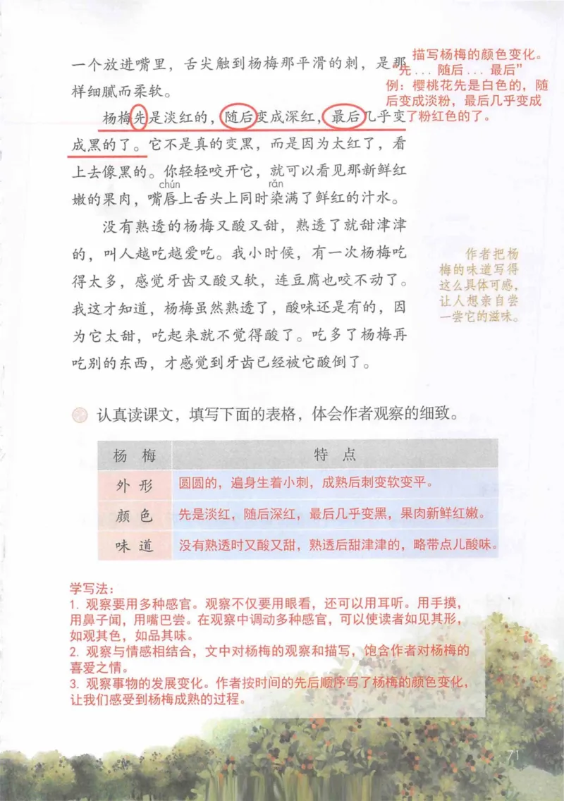 3年级上册（旧教材版）_小学《课堂笔记》数学语文英语1-6年级下册_小学语文《课堂笔记》1-6年级下册（26春）_小学语文《课堂笔记》1-6年级上册（25秋）_3年级上册（25秋更新）