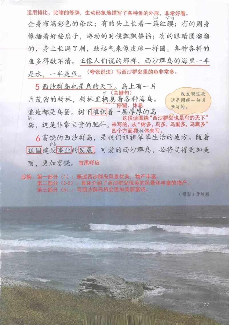 3年级上册（旧教材版）_小学《课堂笔记》数学语文英语1-6年级下册_小学语文《课堂笔记》1-6年级下册（26春）_小学语文《课堂笔记》1-6年级上册（25秋）_3年级上册（25秋更新）