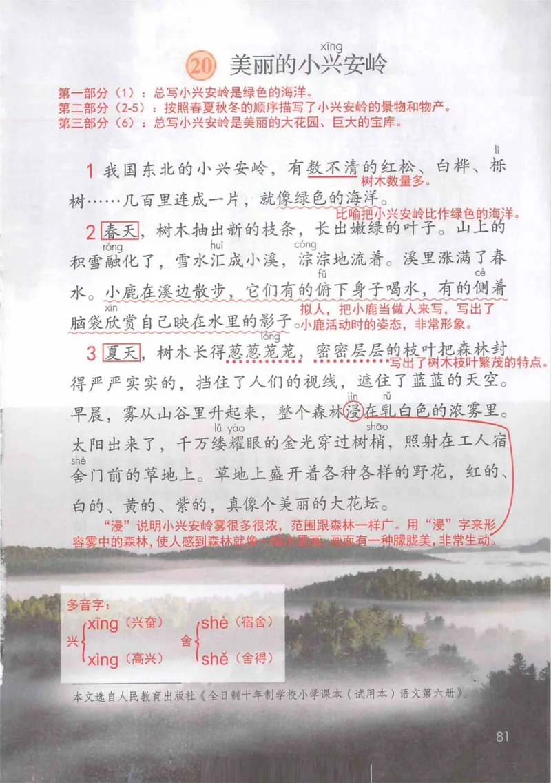3年级上册（旧教材版）_小学《课堂笔记》数学语文英语1-6年级下册_小学语文《课堂笔记》1-6年级下册（26春）_小学语文《课堂笔记》1-6年级上册（25秋）_3年级上册（25秋更新）