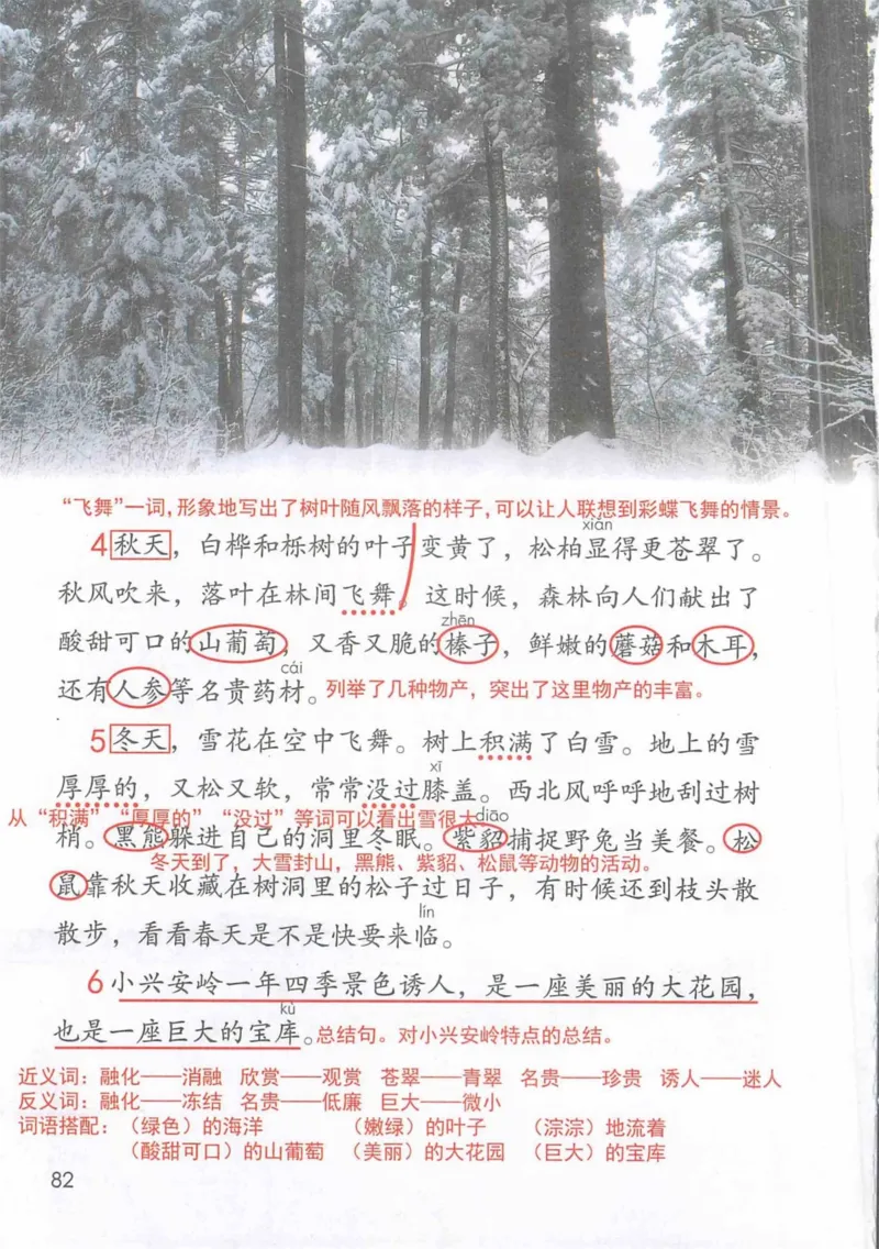 3年级上册（旧教材版）_小学《课堂笔记》数学语文英语1-6年级下册_小学语文《课堂笔记》1-6年级下册（26春）_小学语文《课堂笔记》1-6年级上册（25秋）_3年级上册（25秋更新）