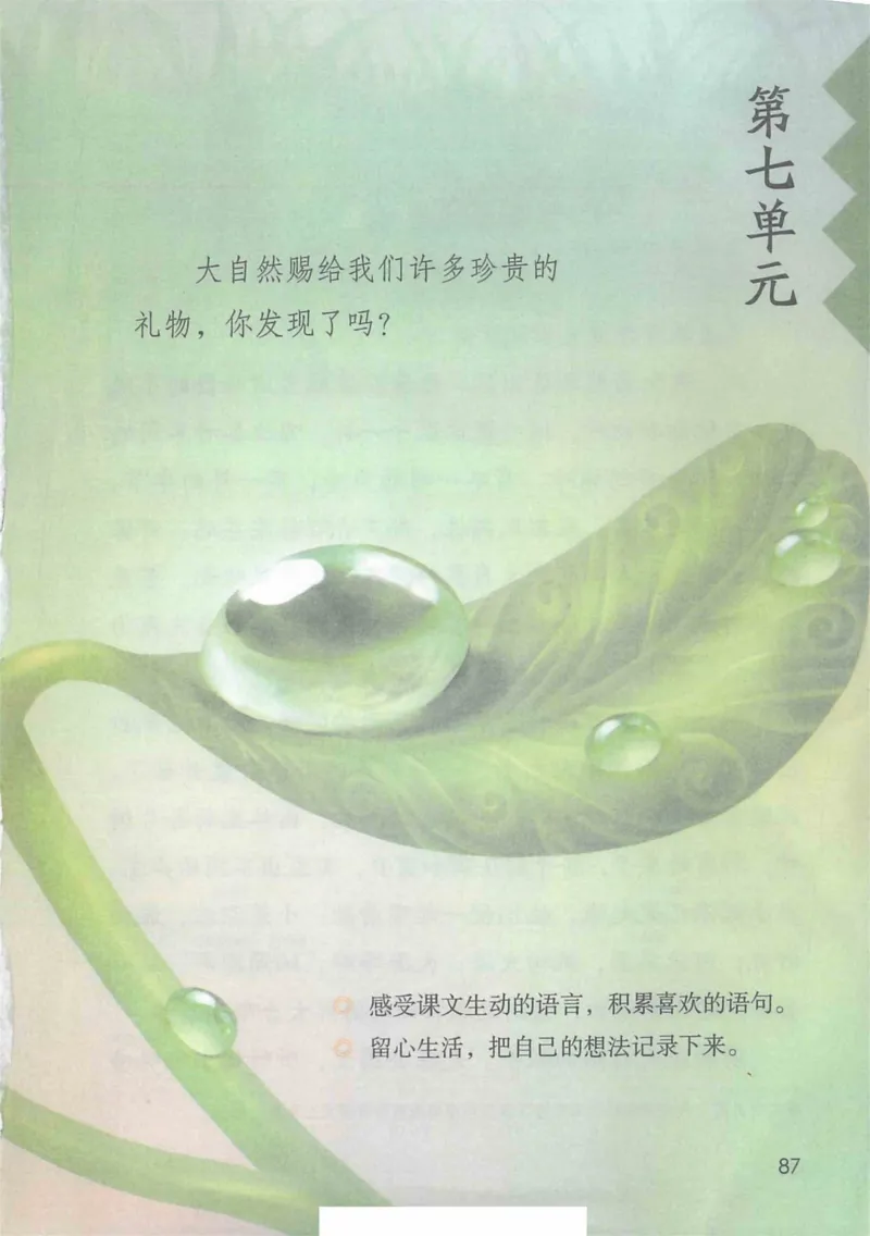 3年级上册（旧教材版）_小学《课堂笔记》数学语文英语1-6年级下册_小学语文《课堂笔记》1-6年级下册（26春）_小学语文《课堂笔记》1-6年级上册（25秋）_3年级上册（25秋更新）