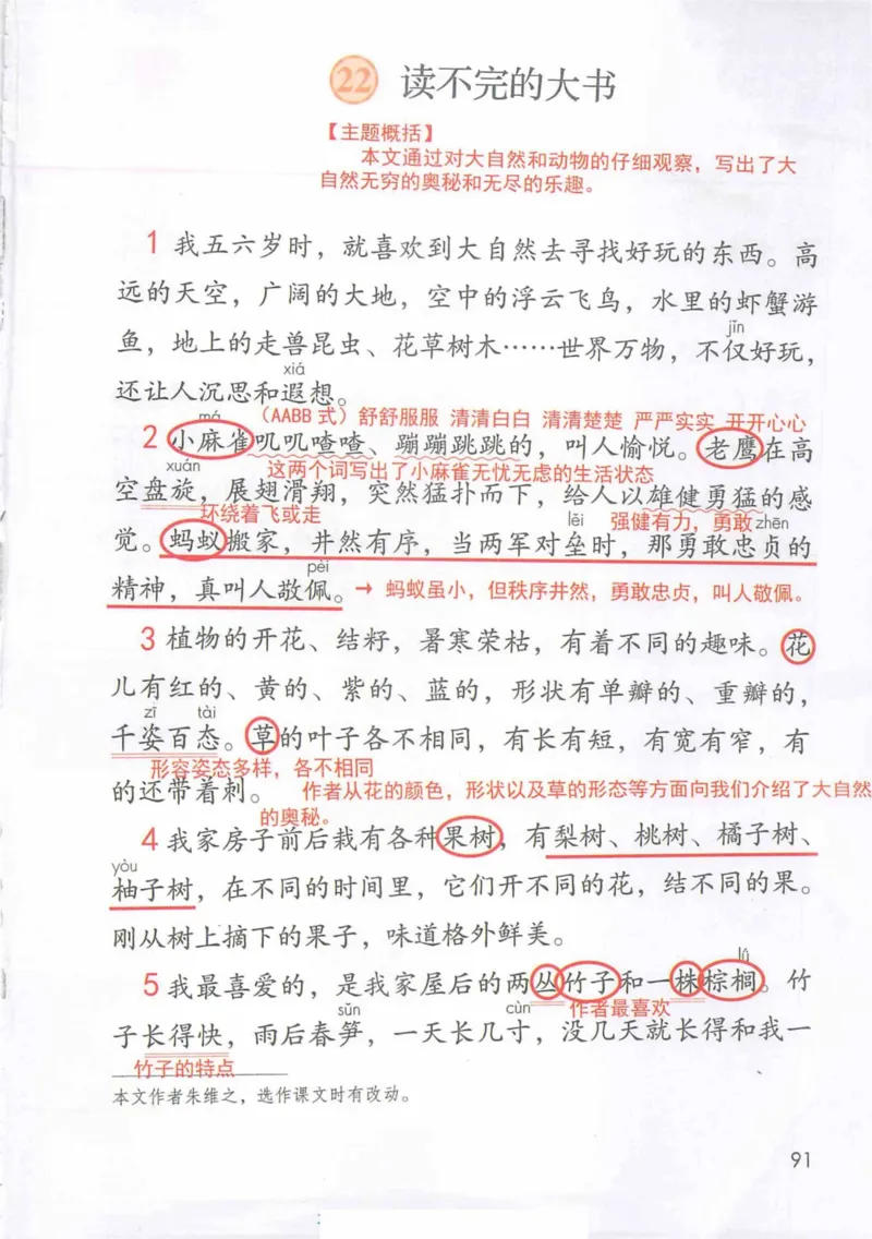 3年级上册（旧教材版）_小学《课堂笔记》数学语文英语1-6年级下册_小学语文《课堂笔记》1-6年级下册（26春）_小学语文《课堂笔记》1-6年级上册（25秋）_3年级上册（25秋更新）