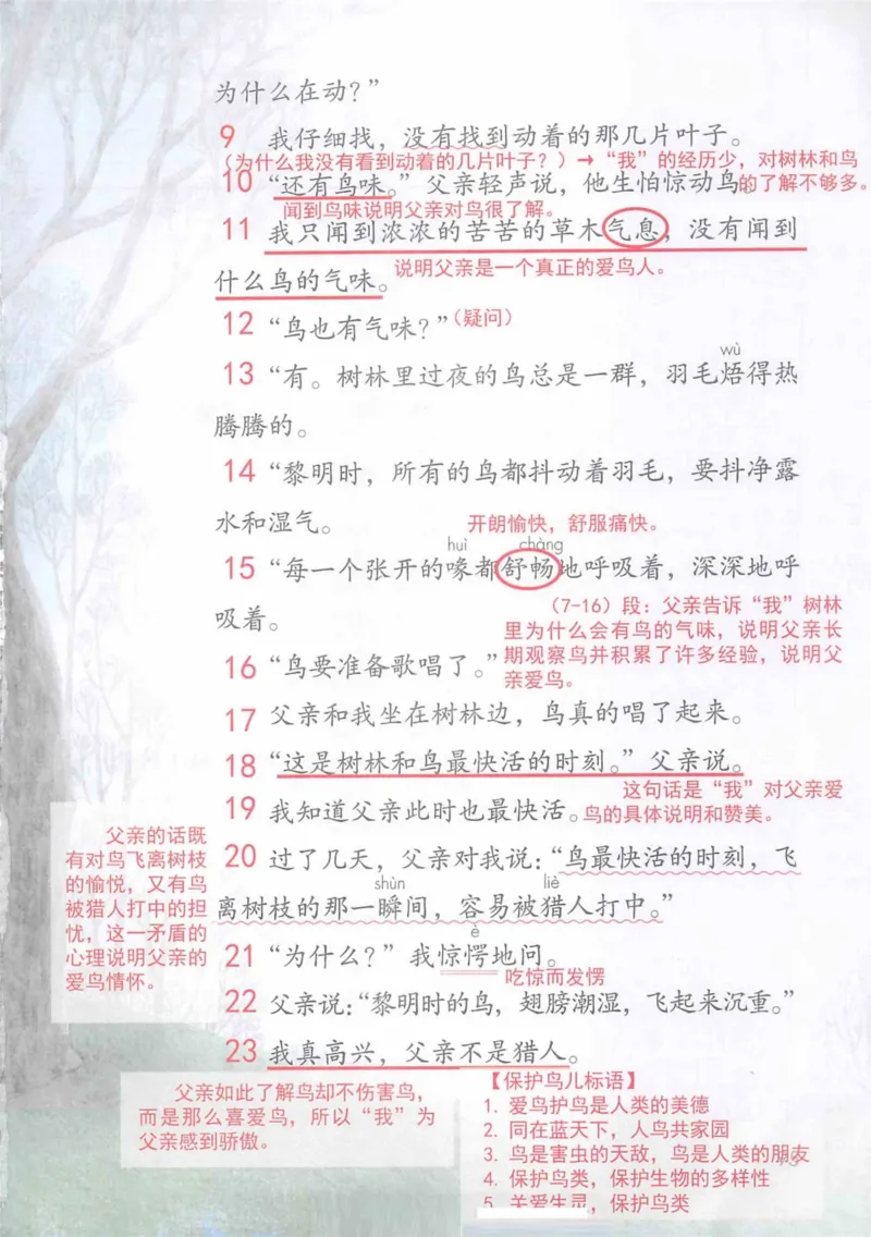 3年级上册（旧教材版）_小学《课堂笔记》数学语文英语1-6年级下册_小学语文《课堂笔记》1-6年级下册（26春）_小学语文《课堂笔记》1-6年级上册（25秋）_3年级上册（25秋更新）