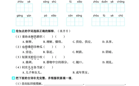 26春典中点五年级语文下（R版）Y专版基础8分钟_2026春小学教辅大合集_6-26春《典中点》系列_26春《典中点》语文人教版（完整版）_26春五年级下册语文《典中点》