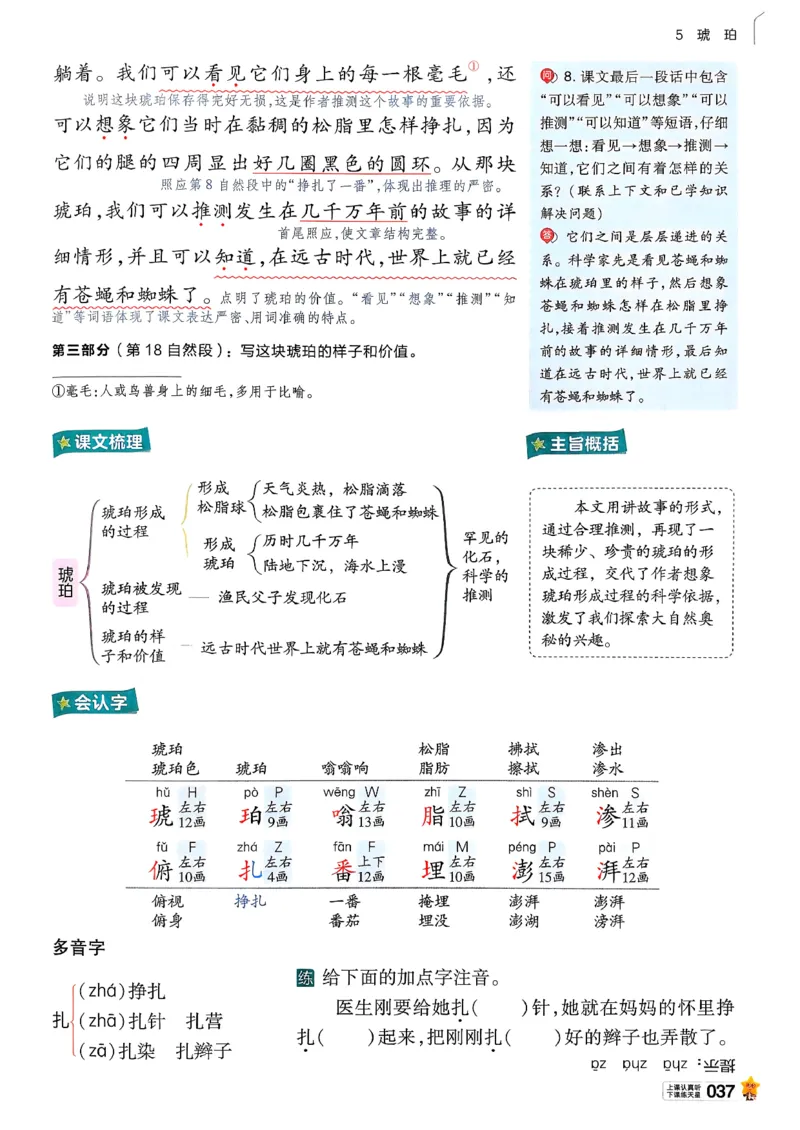 26春四下教材帮语文_2026春小学教辅大合集_5-26春《天星教育》系列_26春完整版《教材帮》语文1-6下_26春四下人教版语文《教材帮》