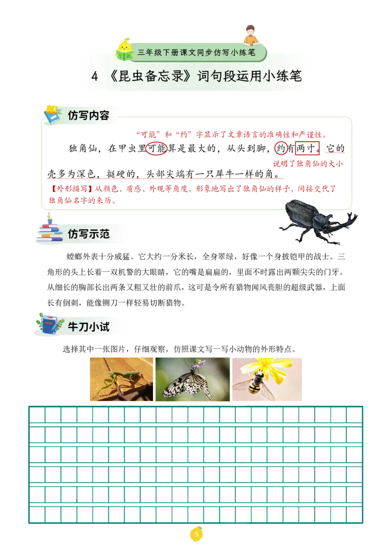 三年级下册课文仿写小练笔_2026春小学教辅大合集_1-26春语文类教辅系列_课文仿写小练笔26年下册