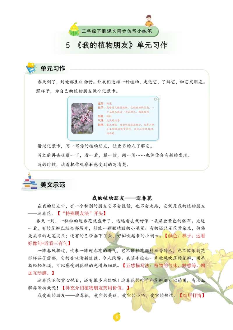 三年级下册课文仿写小练笔_2026春小学教辅大合集_1-26春语文类教辅系列_课文仿写小练笔26年下册