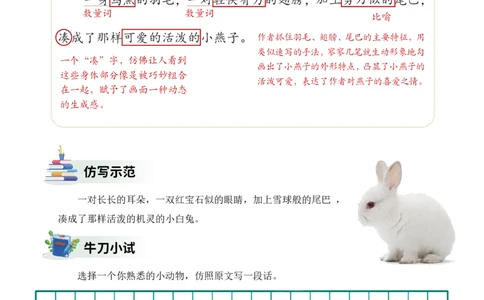三年级下册课文仿写小练笔_2026春小学教辅大合集_1-26春语文类教辅系列_课文仿写小练笔26年下册