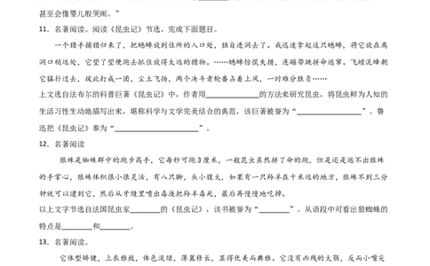 第06讲《昆虫记》整本书阅读(练习）（原卷版）_中考复习资料_语数英物化_1语文中考复习_2026年中考复习（更新中）_2026年中考语文一轮复习名著阅读