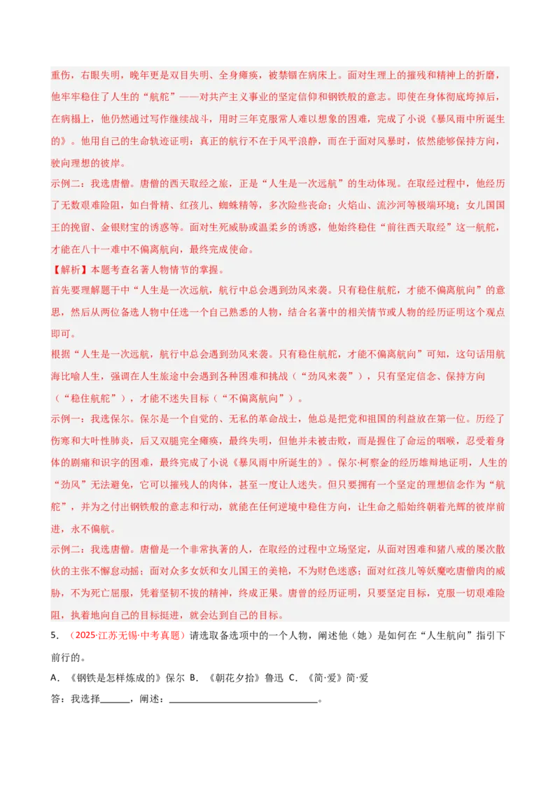 第04讲《钢铁是怎样炼成的》整本书阅读(练习）（解析版）_中考复习资料_语数英物化_1语文中考复习_2026年中考复习（更新中）_2026年中考语文一轮复习名著阅读