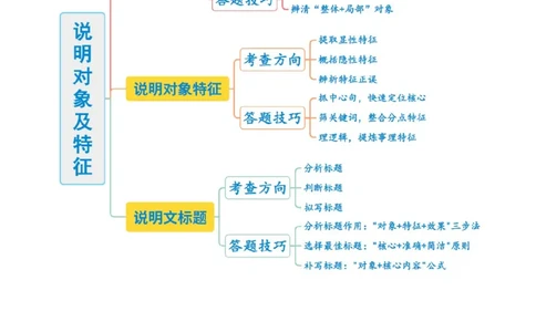 第01讲说明对象及特征（复习讲义）（原卷版）_中考复习资料_语数英物化_1语文中考复习_2026年中考复习（更新中）_2026年中考语文一轮复习讲练测（全国通用）