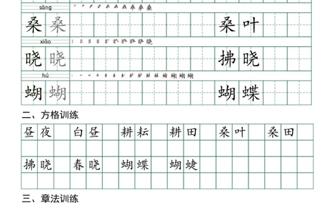 五年级（下）语文每日实用练习_2026春人教语文每日实用基础练习