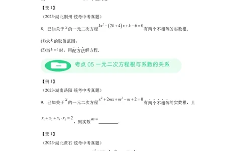 模块二知识全整合专题2方程与不等式第3讲一元二次方程（含解析）2024年中考数学二轮专题复习训练_中考复习资料_语数英物化_2数学中考复习_2024年中考复习资料_二轮复习