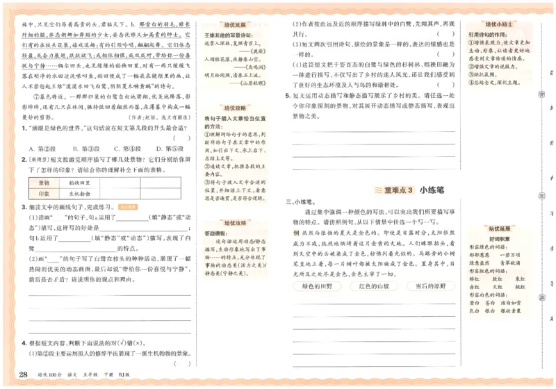 五下语文王朝霞培优100分_2026春小学教辅大合集_8-26春《王朝霞》系列_04.2026春WZX培Y100分数学语文人教1-6年级下册_语文《王朝霞培优100分》26春