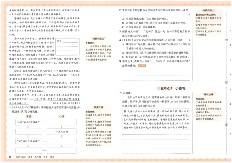 五下语文王朝霞培优100分_2026春小学教辅大合集_8-26春《王朝霞》系列_04.2026春WZX培Y100分数学语文人教1-6年级下册_语文《王朝霞培优100分》26春