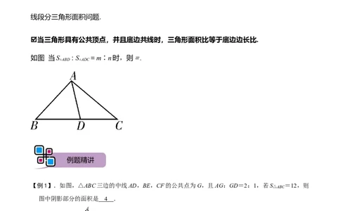 模型43几何中等分面积问题（解析版）_中考复习资料_语数英物化_2数学中考复习_2023年中考复习资料_专项复习_备战2023年中考数学解题大招复习讲义（全国通用）