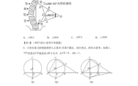 模块三思想全把握专题7化归思想2024年中考数学二轮专题复习训练（含解析）_中考复习资料_语数英物化_2数学中考复习_2024年中考复习资料_二轮复习