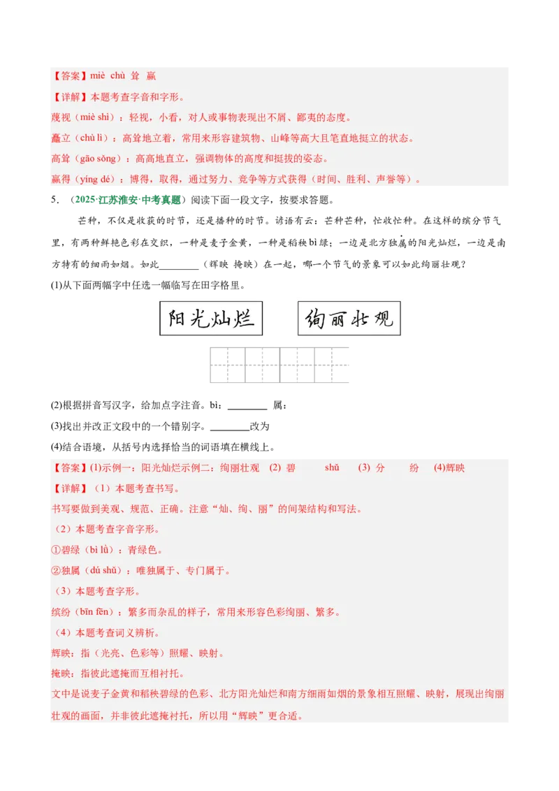 第01讲汉字：字音、字形、字义（专项训练）（解析版）_中考复习资料_语数英物化_1语文中考复习_2026年中考复习（更新中）_2026年中考语文一轮复习讲练测（全国通用）