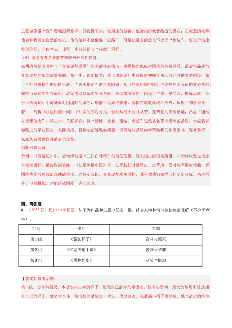 第11讲《儒林外史》整本书阅读(练习）（解析版）_中考复习资料_语数英物化_1语文中考复习_2026年中考复习（更新中）_2026年中考语文一轮复习名著阅读