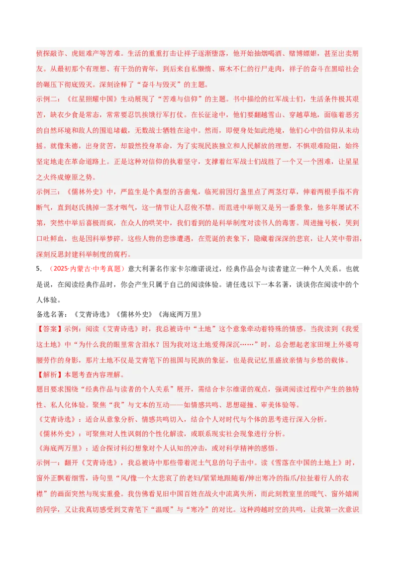 第11讲《儒林外史》整本书阅读(练习）（解析版）_中考复习资料_语数英物化_1语文中考复习_2026年中考复习（更新中）_2026年中考语文一轮复习名著阅读