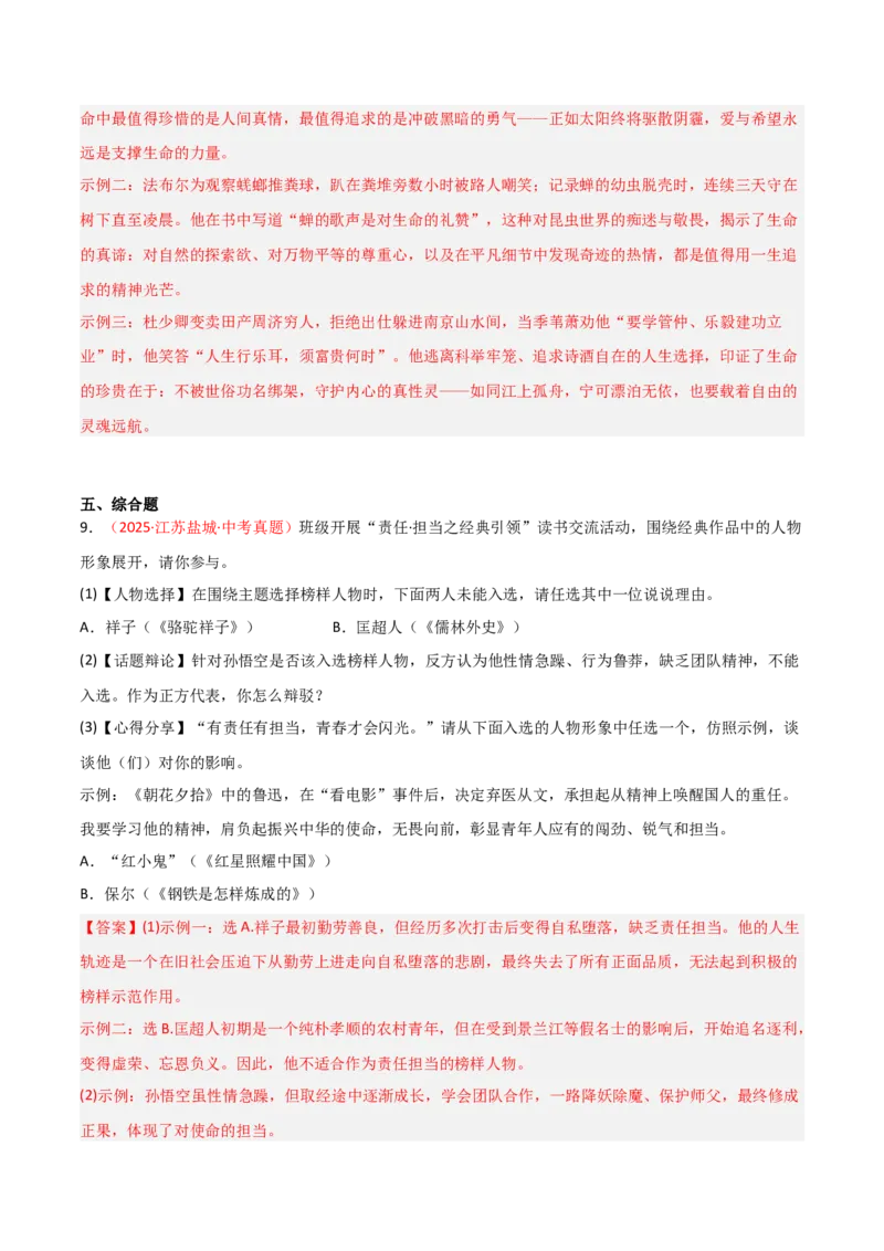 第11讲《儒林外史》整本书阅读(练习）（解析版）_中考复习资料_语数英物化_1语文中考复习_2026年中考复习（更新中）_2026年中考语文一轮复习名著阅读